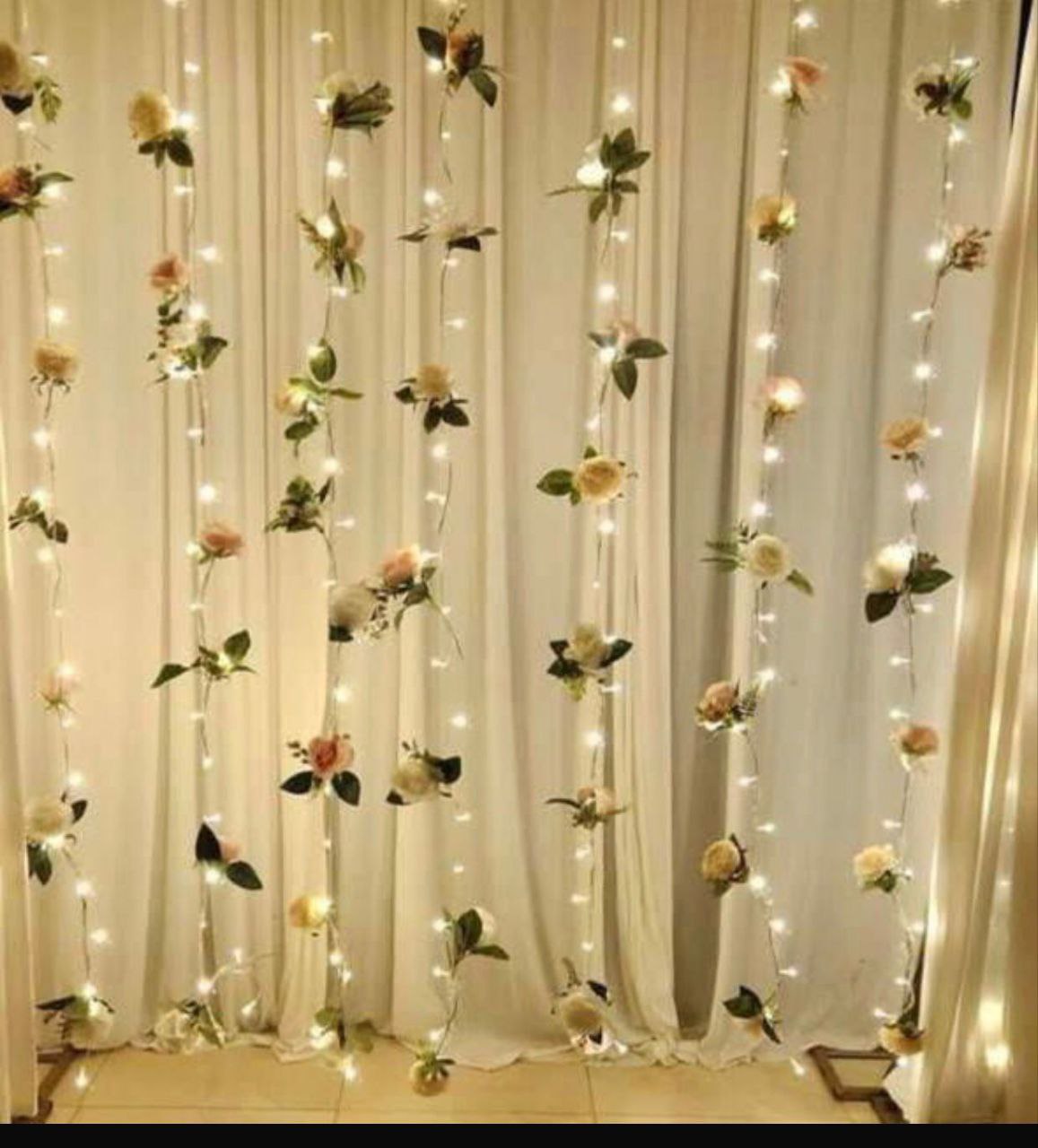 ستاره الورد المضيئه